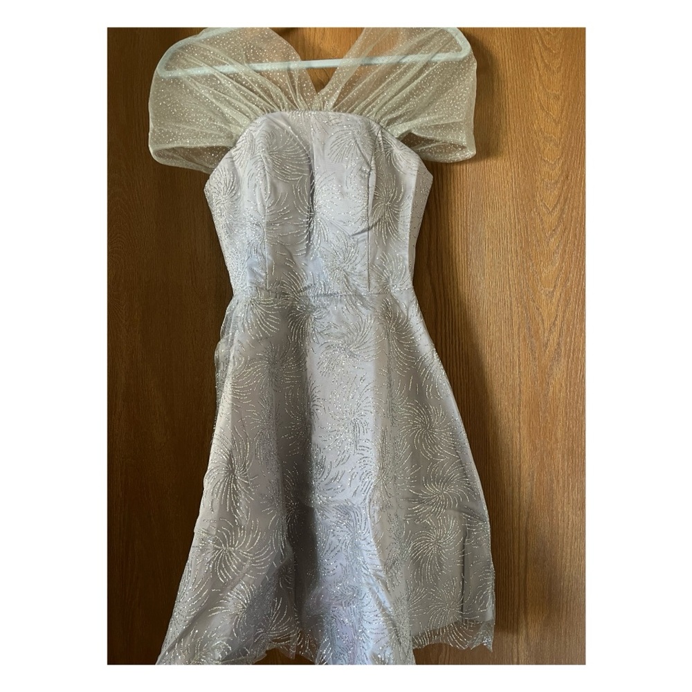 Elegant Silver Strapless Dress